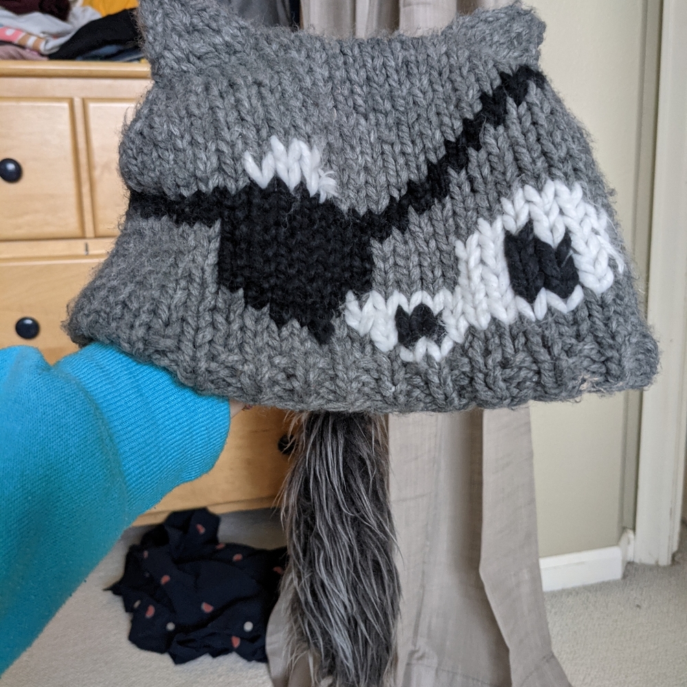 Pirate Raccoon Beanie